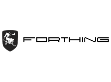 Forthing Fahne 100x300 cm